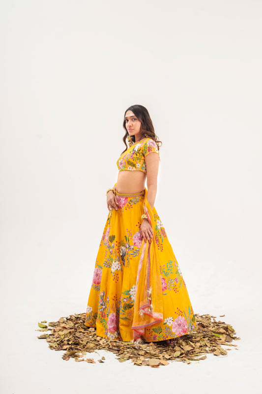 Ornate-nakshatra mustard hand embroidered lehenga set